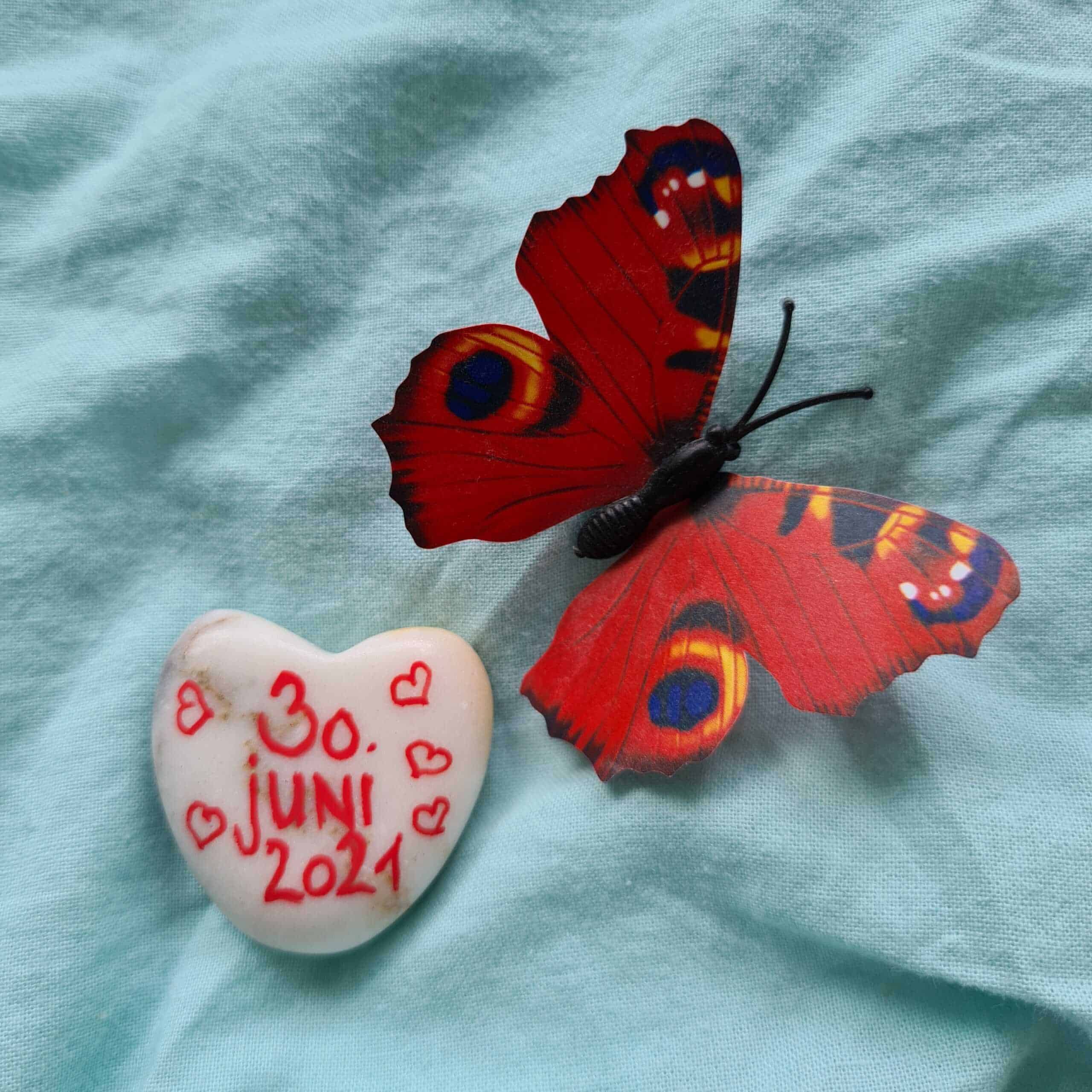 20210630 094118 scaled