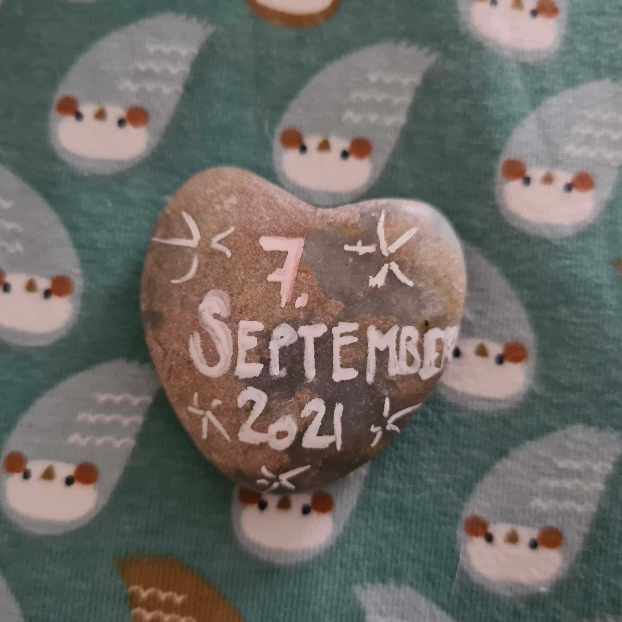 20210907 161123 scaled