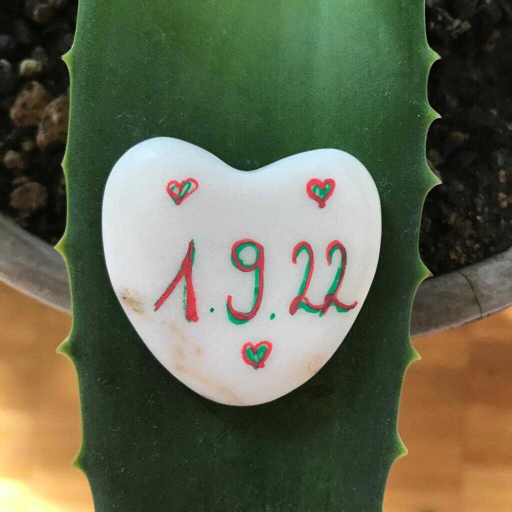 PHOTO 2022 11 06 19 33 46 1