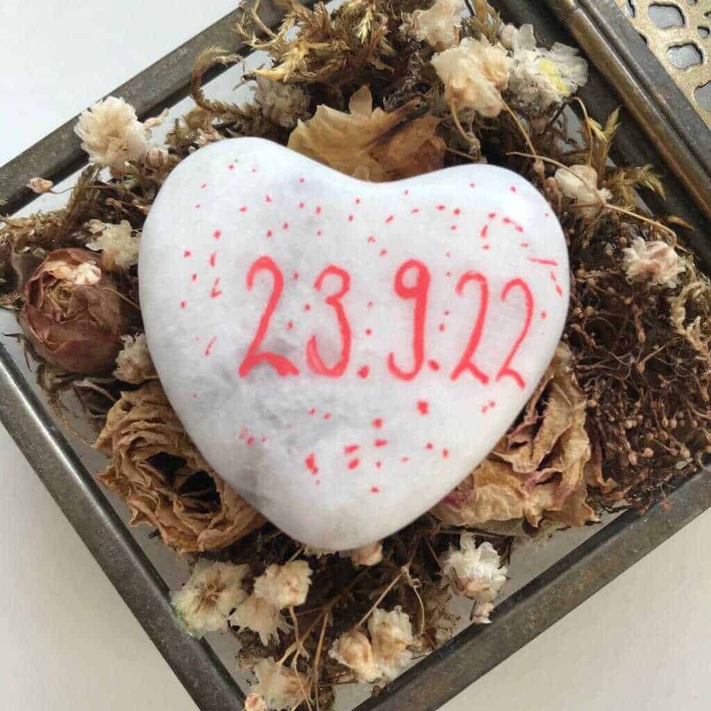 PHOTO 2022 11 06 19 33 46 4