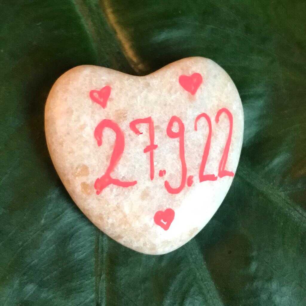 PHOTO 2022 11 06 19 33 46 5