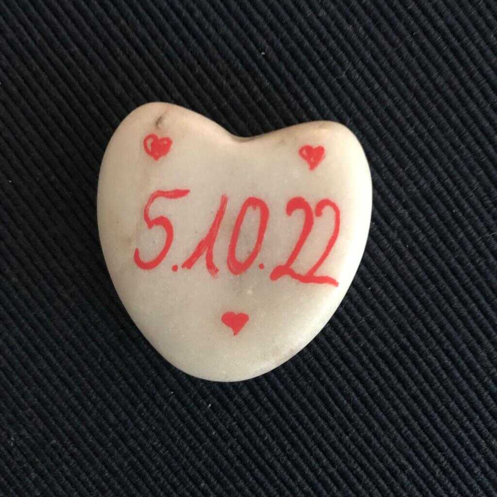 PHOTO 2022 11 06 19 33 46 6