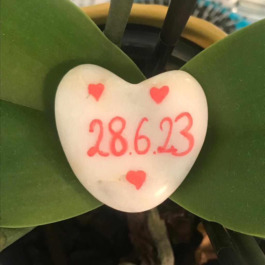 WhatsApp Image 2023 08 28 at 10.51.07