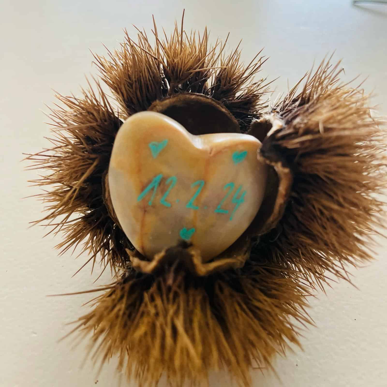 WhatsApp Image 2024 03 13 at 14.39.36