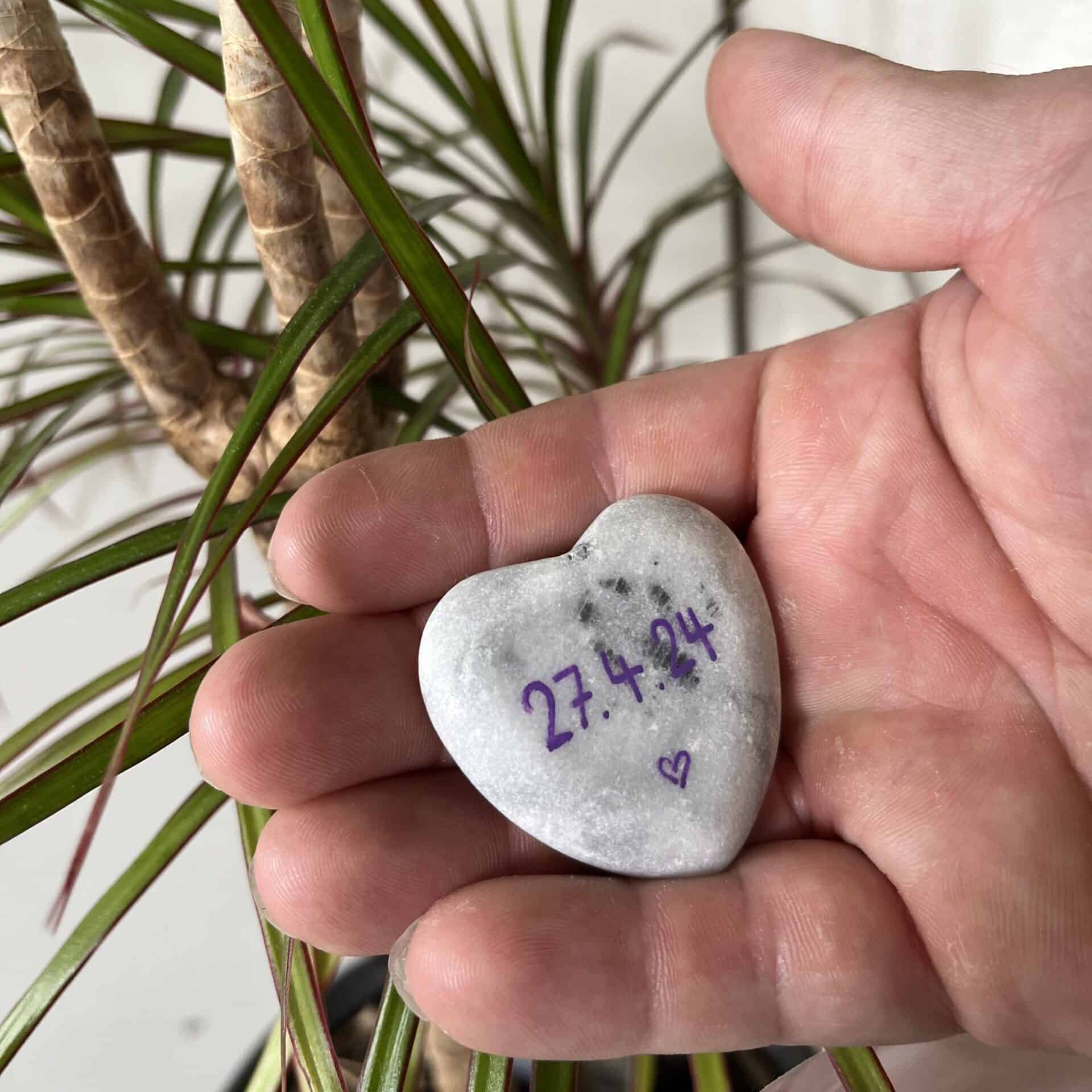 IMG 5809 scaled e1717528496692