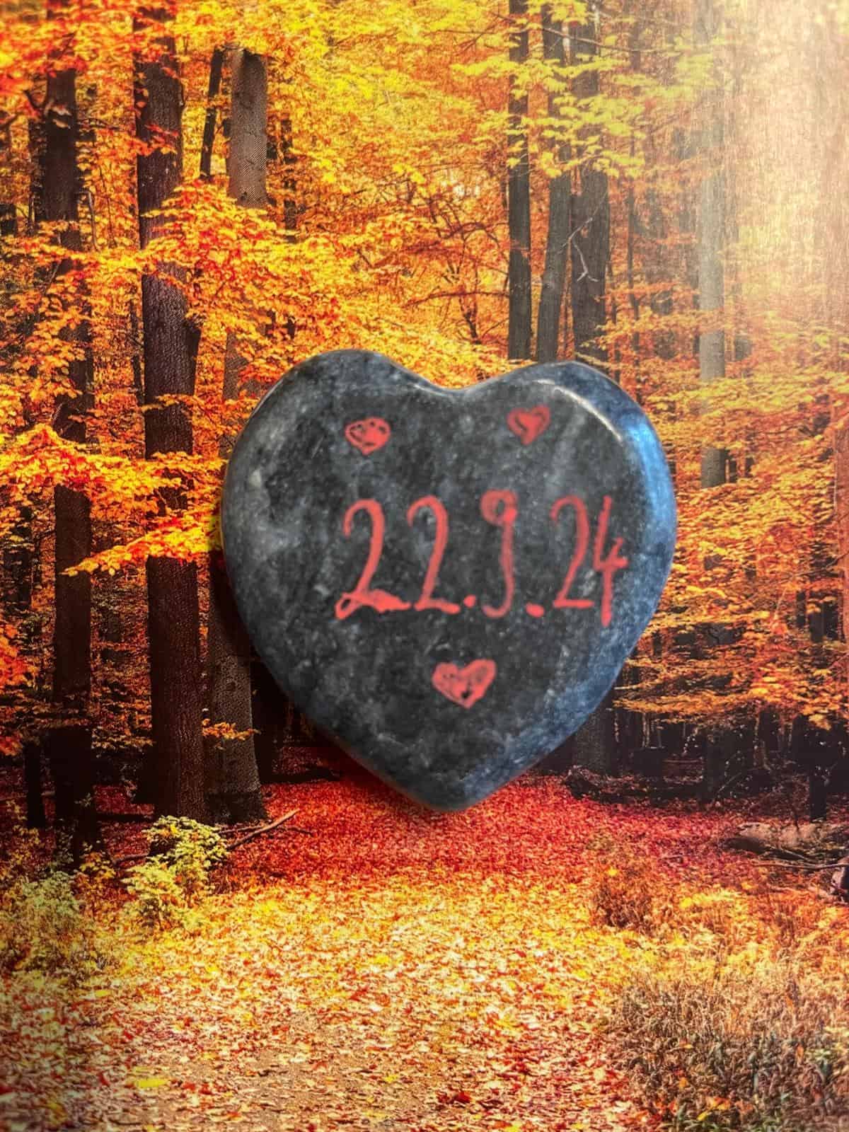 WhatsApp Image 2024 10 02 at 15.02.16