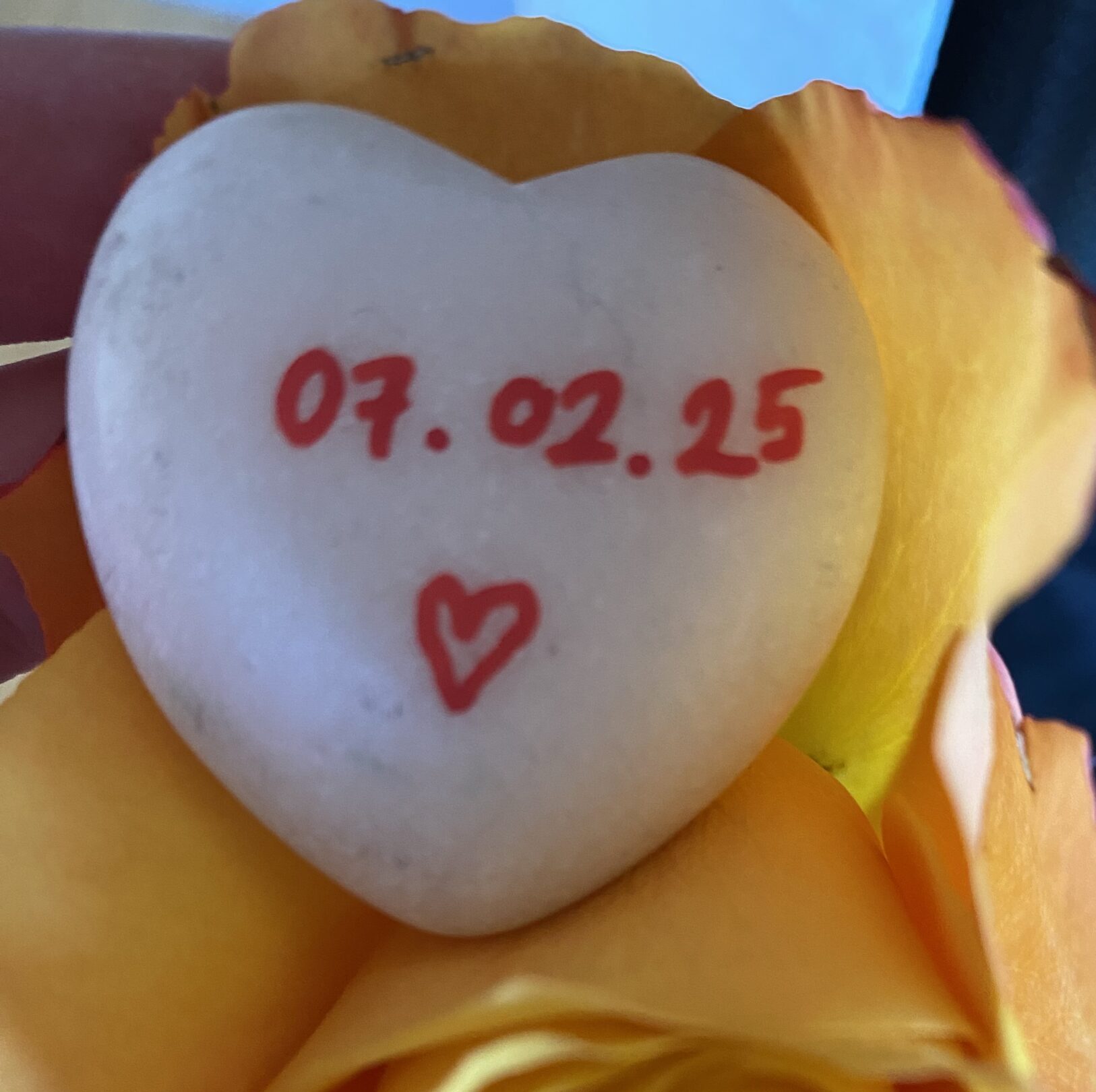 IMG 0143 scaled e1748931686318