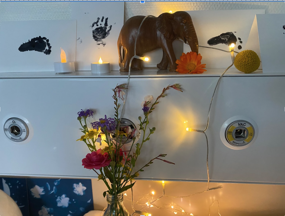 Bildschirmfoto 2025 09 24 um 16.36.56