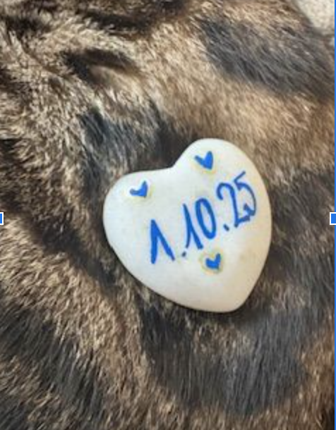 Bildschirmfoto 2025 11 18 um 14.34.49