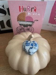 Bildschirmfoto 2026 01 29 um 10.41.15