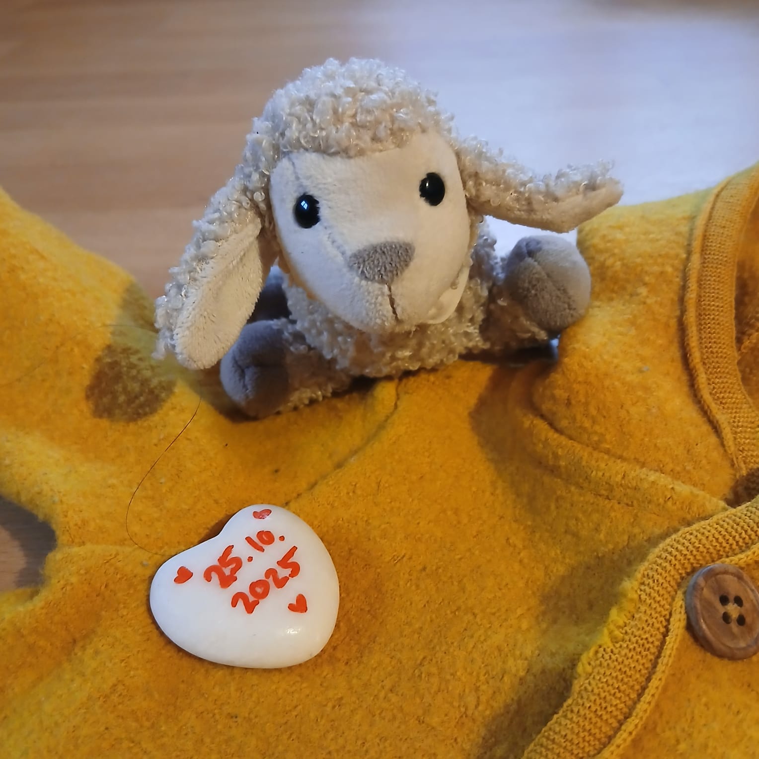 PHOTO 2025 11 20 15 47 35