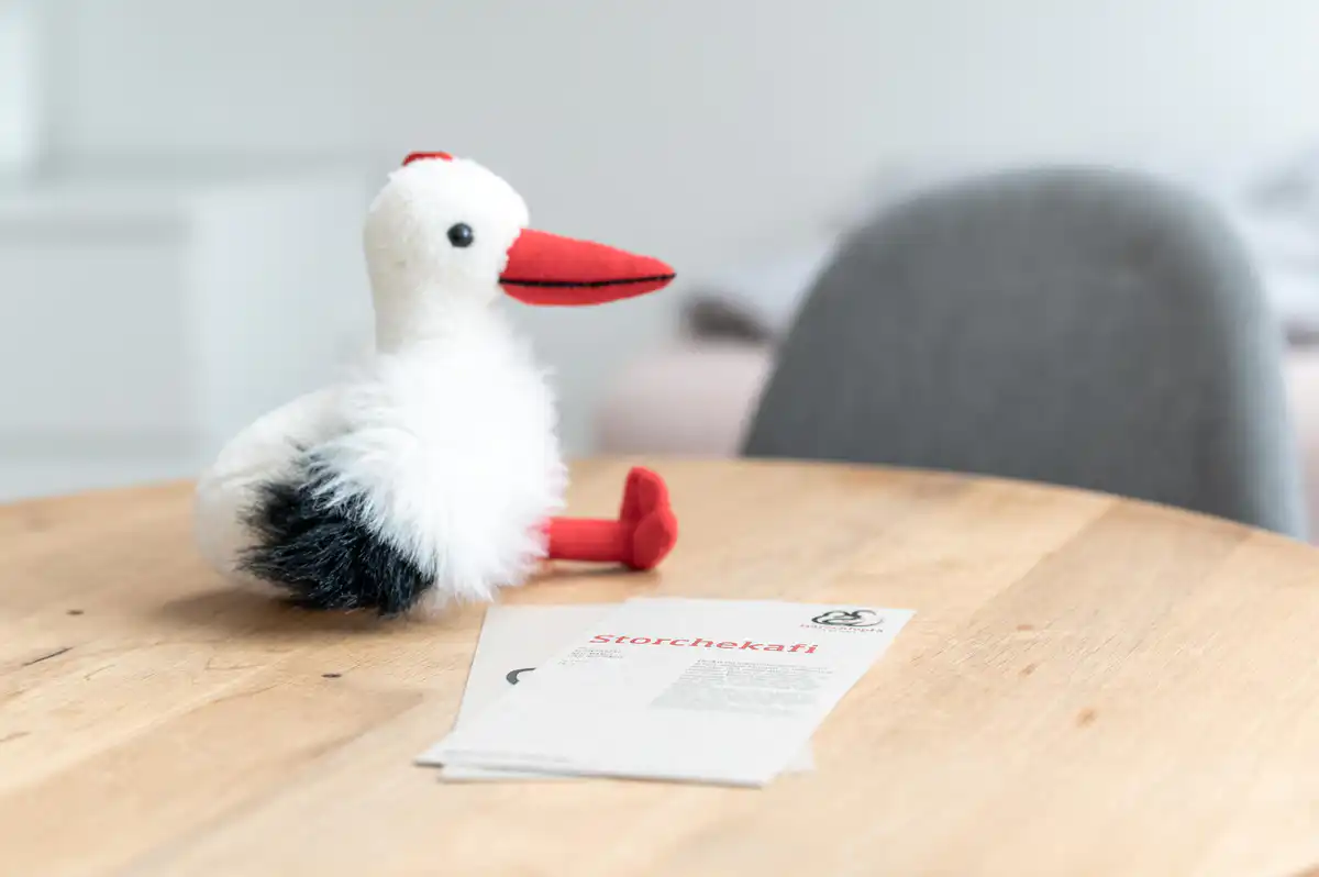 White plush duck with a red beak sits on a round wooden table beside a pamphlet.